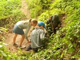 ... Aktiv für den Wald - z.B. Bäume setzen!