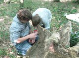 ... Wald = das Forschungslabor!