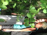 Schmuck-Basteln im Wald (Stationsbetrieb bei einer Veranstaltung)